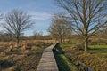 boardwalk in a marsh landscape in Doode Beemde nature reserve Royalty Free Stock Photo