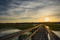 Boardwalk and marsh Royalty Free Stock Photo