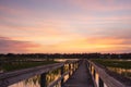 Boardwalk and marsh