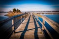 Boardwalk through marshes at Assateague Island National Seashore, MD Royalty Free Stock Photo