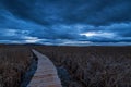 Swamp walking path.