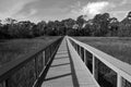 Boardwalk Crossing Over The Marshland At Florida, USA