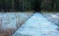 Boardwalk Morning frost Royalty Free Stock Photo