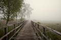 Wooden boardwalk on foggy morning