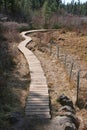 Boardwalk Over a Bog Royalty Free Stock Photo