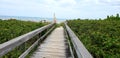 Boardwalk over the dunes