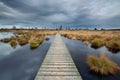 Boardwalk over a lake in heathland in National Park Hautes Fagnes . Royalty Free Stock Photo