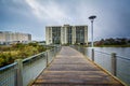 Boardwalk over Lake Holly, in Virginia Beach, Virginia.