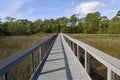 Boardwalk over marshland, Florida, USA