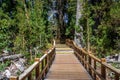 Boardwalk path at Arrayanes National Park - Villa La Angostura, Patagonia, Argentina Royalty Free Stock Photo