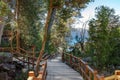 Boardwalk path at Arrayanes National Park - Villa La Angostura, Patagonia, Argentina