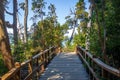 Boardwalk path at Arrayanes National Park - Villa La Angostura, Patagonia, Argentina Royalty Free Stock Photo