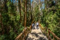 Boardwalk path at Arrayanes National Park - Villa La Angostura, Patagonia, Argentina