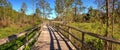 Boardwalk path at Corkscrew Swamp Sanctuary in Naples Royalty Free Stock Photo