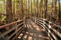 Boardwalk path at Corkscrew Swamp Sanctuary in Naples