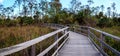 Boardwalk path at Corkscrew Swamp Sanctuary in Naples Royalty Free Stock Photo