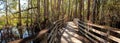 Boardwalk path at Corkscrew Swamp Sanctuary in Naples Royalty Free Stock Photo