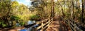 Boardwalk path at Corkscrew Swamp Sanctuary in Naples Royalty Free Stock Photo