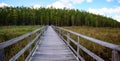 Boardwalk path at Corkscrew Swamp Sanctuary in Naples, Florida Royalty Free Stock Photo