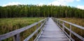 Boardwalk path at Corkscrew Swamp Sanctuary in Naples, Florida Royalty Free Stock Photo