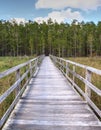 Boardwalk path at Corkscrew Swamp Sanctuary in Naples, Florida Royalty Free Stock Photo