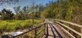 Boardwalk path at Corkscrew Swamp Sanctuary in Naples Royalty Free Stock Photo