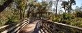 Boardwalk path at Corkscrew Swamp Sanctuary in Naples Royalty Free Stock Photo