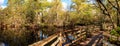 Boardwalk path at Corkscrew Swamp Sanctuary in Naples Royalty Free Stock Photo