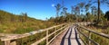 Boardwalk path at Corkscrew Swamp Sanctuary in Naples Royalty Free Stock Photo