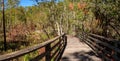 Boardwalk path at Corkscrew Swamp Sanctuary in Naples Royalty Free Stock Photo