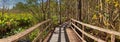 Boardwalk path at Corkscrew Swamp Sanctuary in Naples Royalty Free Stock Photo