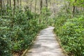 Boardwalk path leading to the Dingmans Falls in Delaware Water Gap National Recreation Area, PA Royalty Free Stock Photo