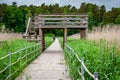 Boardwalk path leads through an observation tower and a swampy lake