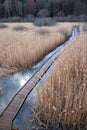 Boardwalk path in wetland