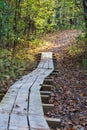 A boardwalk pathway goes uphill on a winding trail in fall forest