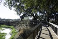 Paynes Prairie State Park