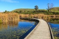 Boardwalk in Pekapeka wetland, Hawke`s Bay, New Zealand