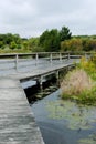 Boardwalk through a Pond
