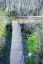 Boardwalk on a pond Royalty Free Stock Photo