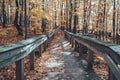 Boardwalk in the Porcupine Mountains Porkies leading to the Lake of the Clouds overlook in Michigan in the fall season