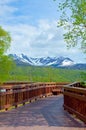 Boardwalk at Potters Marsh Royalty Free Stock Photo