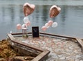 Boardwalk proposal with Gold balloons