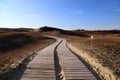 Boardwalk on a sand dune in the Naglu Reserve Royalty Free Stock Photo