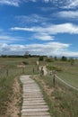 A boardwalk through sand dunes with grasses, shrubs and trees along Lake Michigan at Kohler Andrae State Park