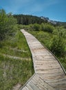 The trail at Sand Pond in northern California Royalty Free Stock Photo