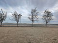 Boardwalk and sea with dunes in the background Royalty Free Stock Photo