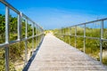 Boardwalk among sea oats to beach in Florida Royalty Free Stock Photo