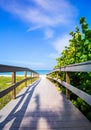 Boardwalk among sea oats to beach in Florida Royalty Free Stock Photo