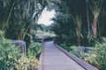 Boardwalk at the Singapore Botanic Gardens, Singapore Royalty Free Stock Photo