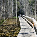 Boardwalk in Smuggler Cove Marine Provincial Park: BC\'s Sunshine Coast
